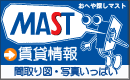 MAST ���� ���Ώ���